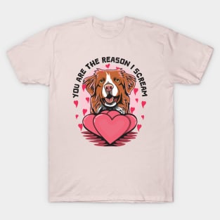 You Are The Reason I Scream Funny Toller Jokes For Valentines Day T-Shirt